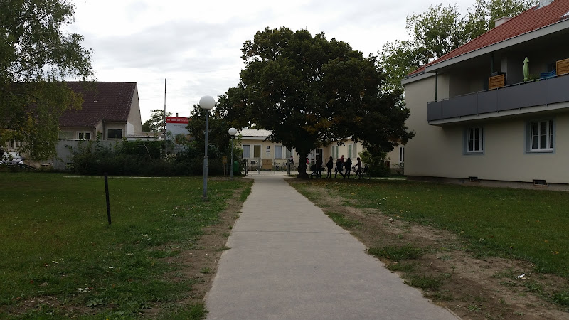 Christian-Bucher-Gasse 14 Volksschule