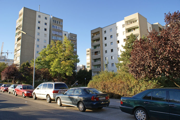 Pantucekgasse 13 Volksschule