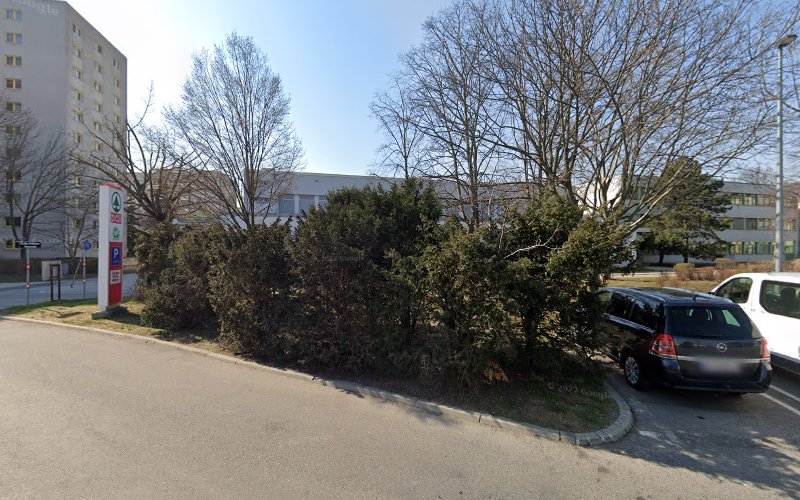 Pastorstraße 29 Mittelschule