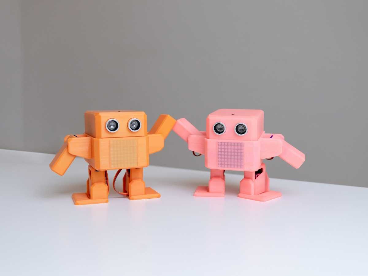 Zwei Lernroboter aus dem Robbo Club Robotikunterricht